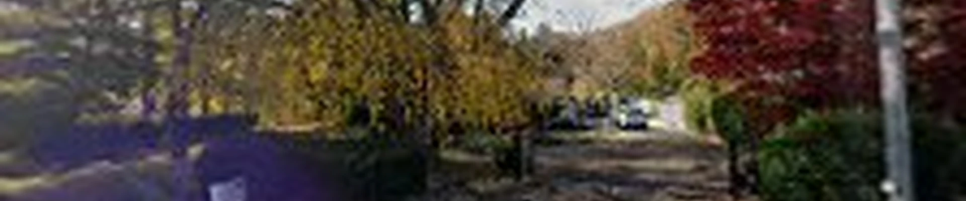 T & C Landscape Design Inc.
