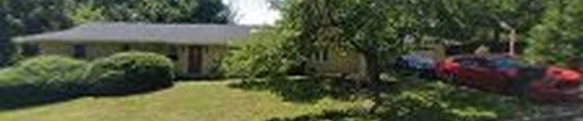 Arborland Tree Care & Landscaping Corp.