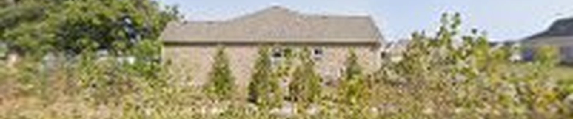 Sanchez Landscaping