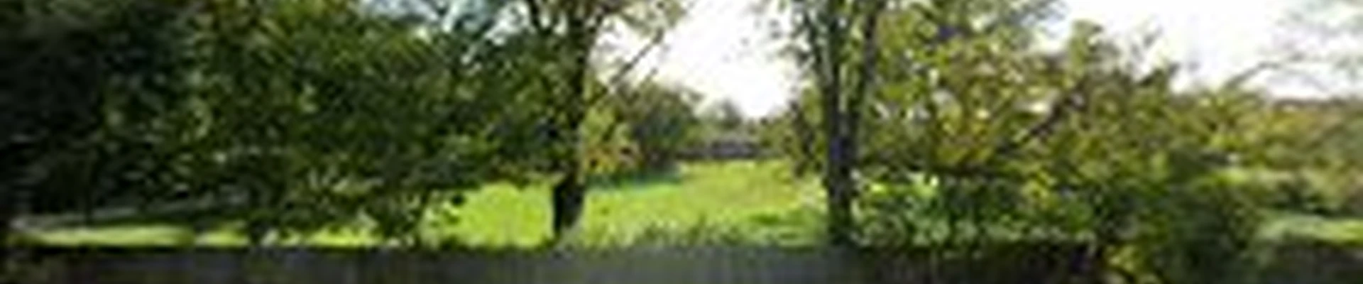 Jimenez & Sons Landscaping, Inc.