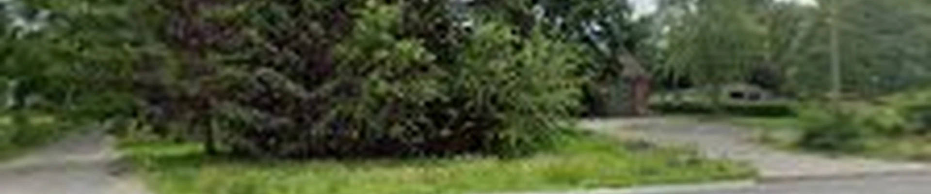 Cardinal Landscaping, Maintenance & Snow Removal
