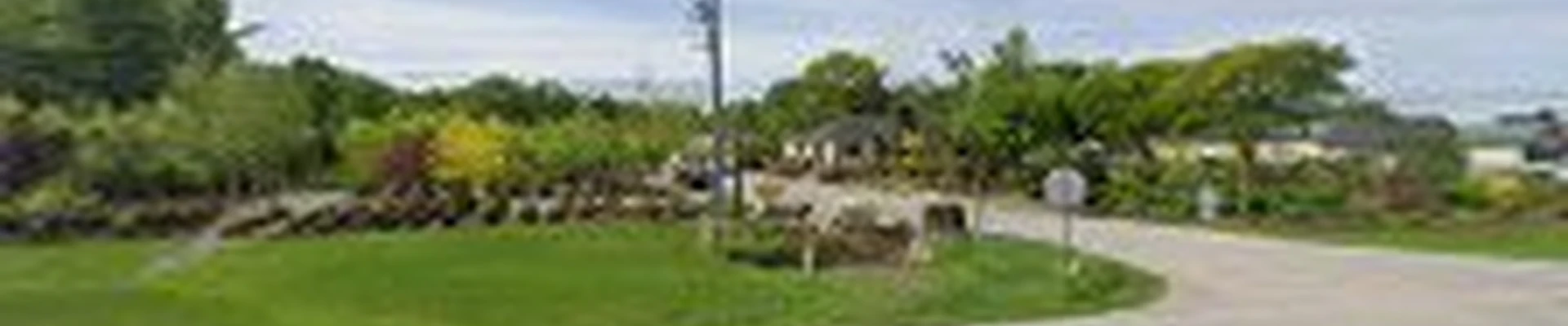 Cummings Landscape
