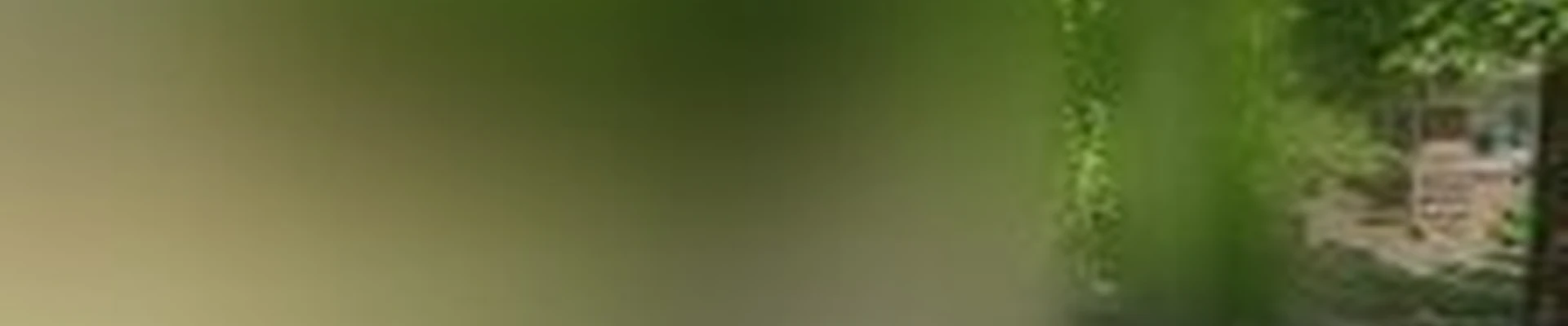 O'Brien Brothers Landscaping
