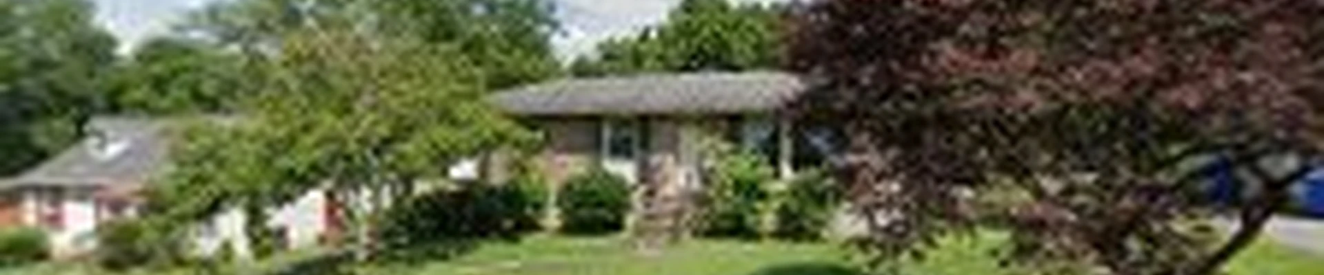 LawnStarter Landscaping