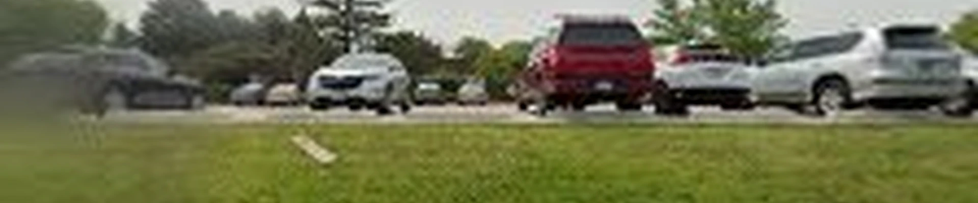 Spear Landscaping & Development Inc.
