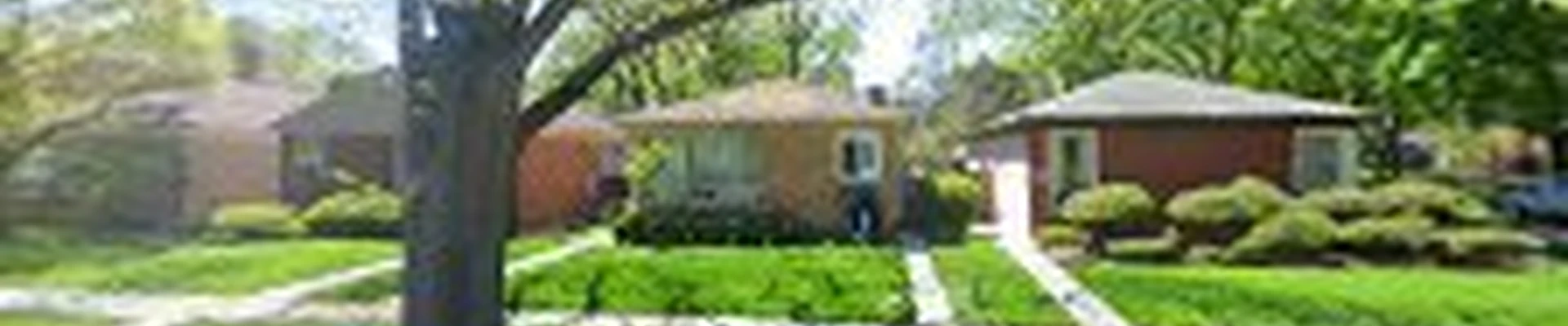 Dried Eye Concrete & Landscaping Service