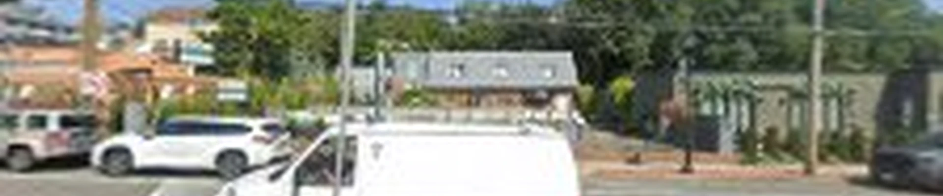 Belvedere Nursery & Landscape Design