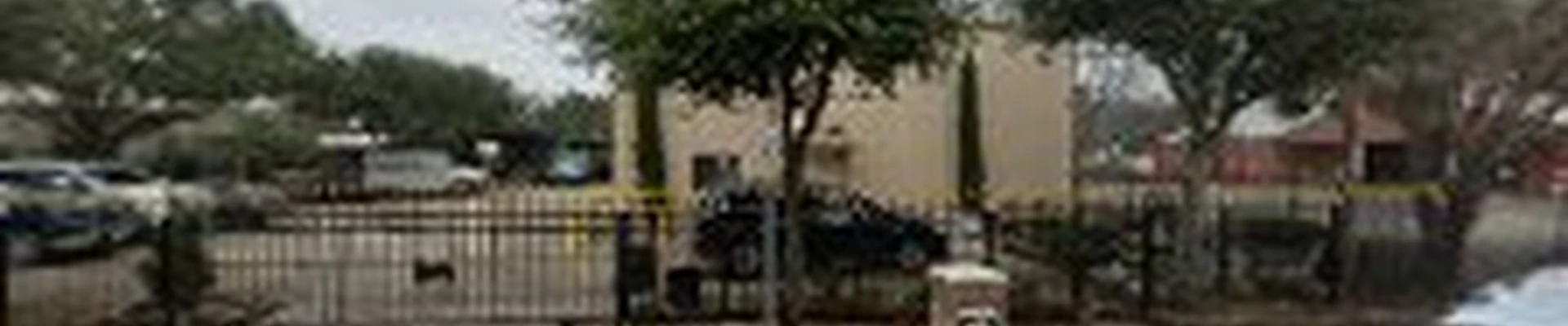 Gomez Trees & Landscaping Corp