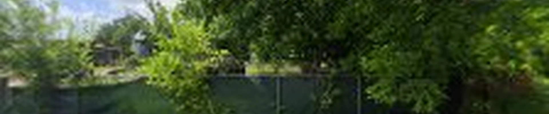Sap Arborcare & Landscaping