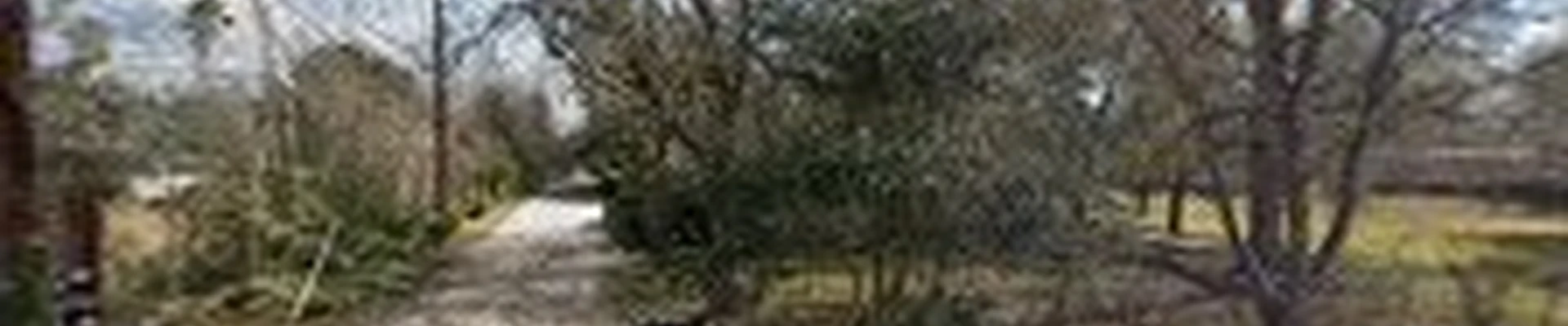 PRO LAWN & GARDEN SERVICES