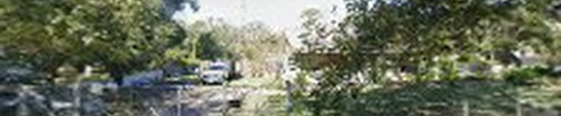 Arguetas Lawn & Landscaping