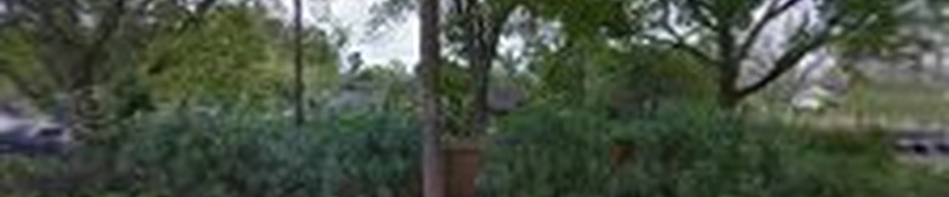 Lynn's Landscaping Inc