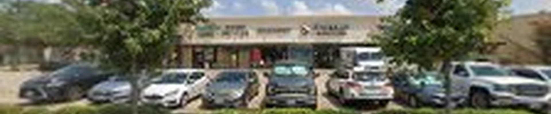 Houston Tree Surgeons
