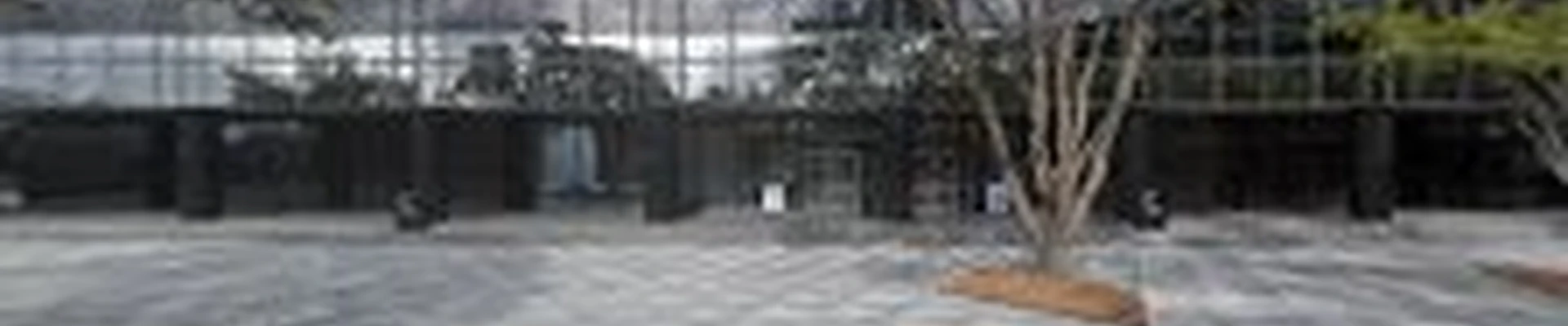 Green Leaf Pro