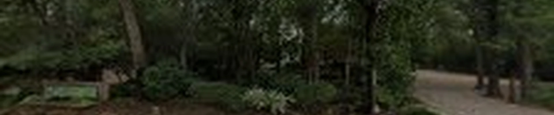 Mirror Lake Designs