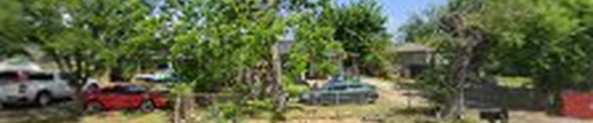Peewees Services Lawn Maintanance & SOD Installations & christmas light Installations