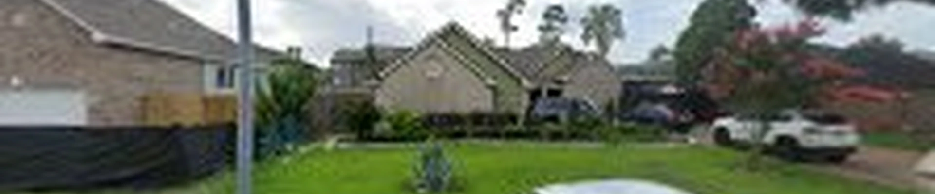 Tree Service Houston Fantastic