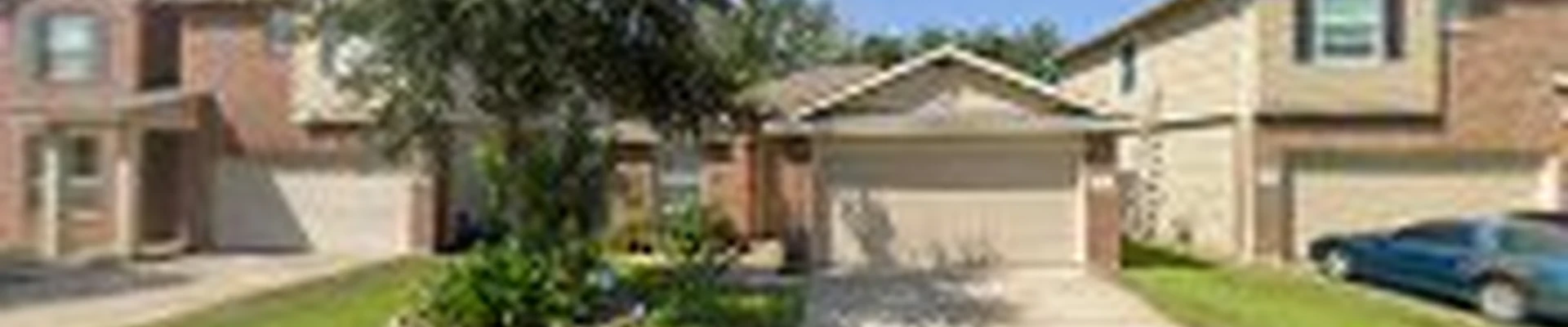 Lazo Landscaping