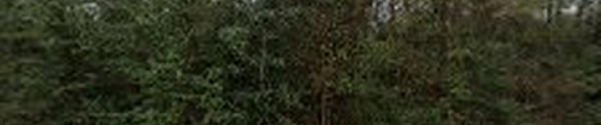 A & C Landscaping and More