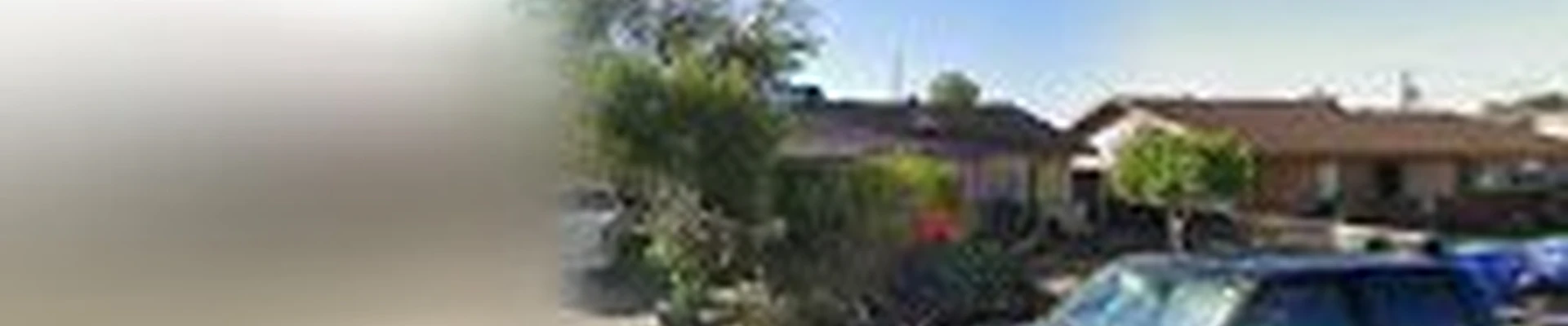 Divine Green Landscaping