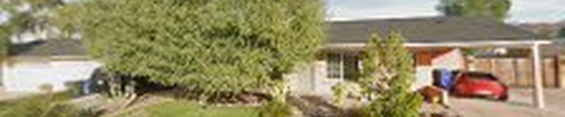 Desert Outdoor Landscaping