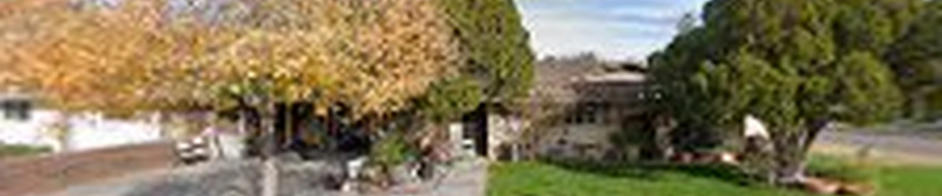 Diaz Tree and Landscape Management