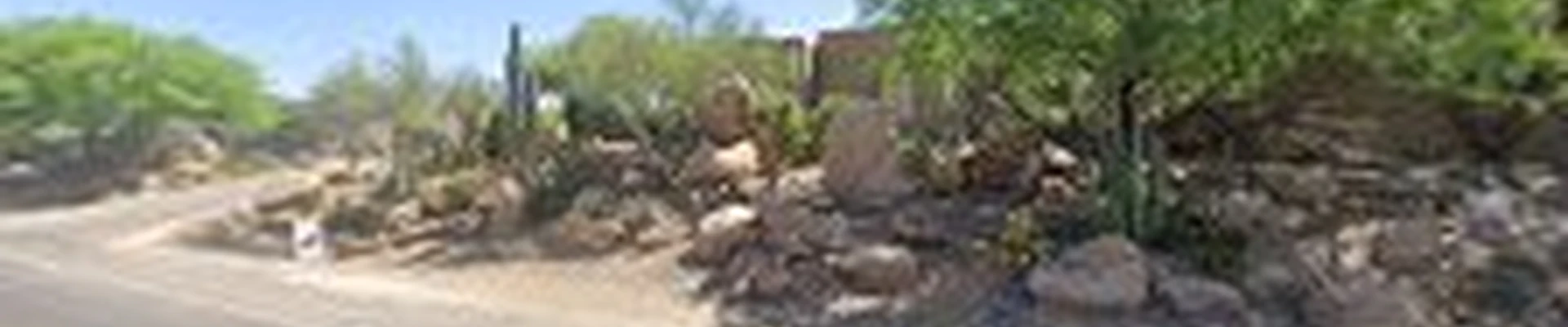 Desert Foothills Landscape