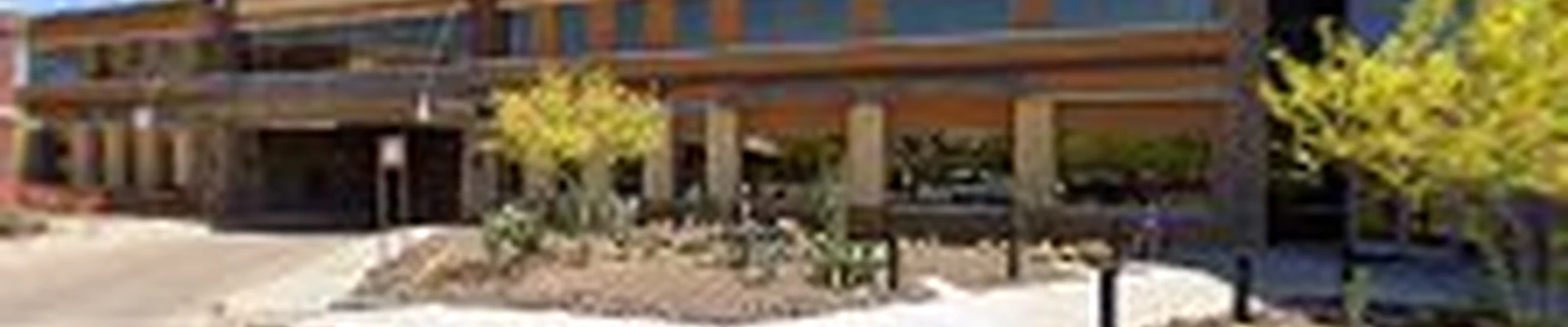 Phoenix Landscaping and Pools