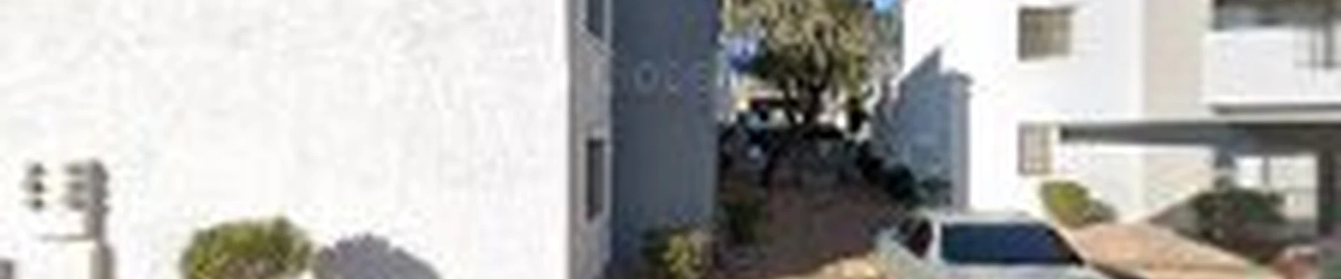 American Tree & Landscape Co
