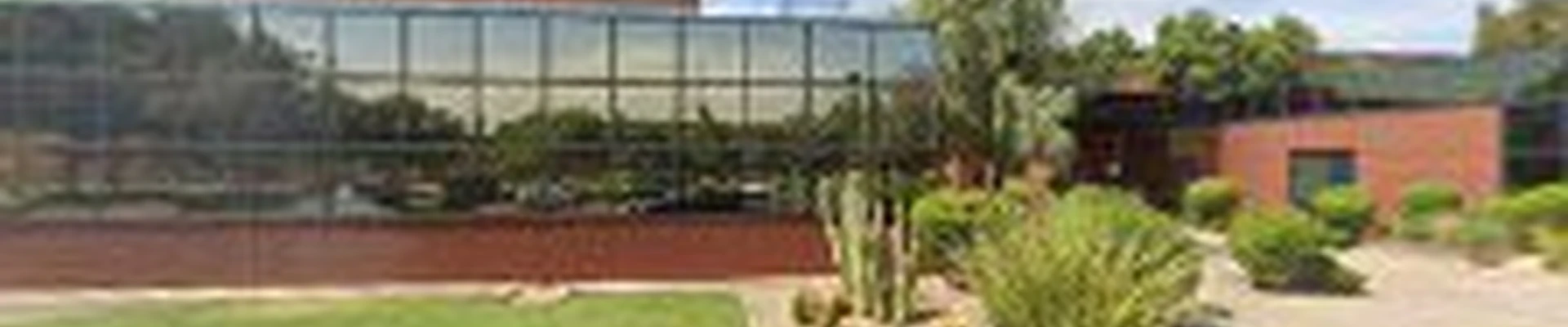 Viva Landscape & Design