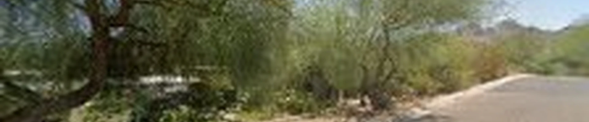 Lavish Landscaping