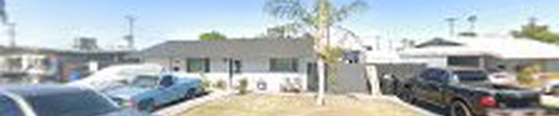 Pine tree landscape LLC