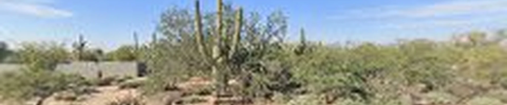Eclipse Landscape & Design