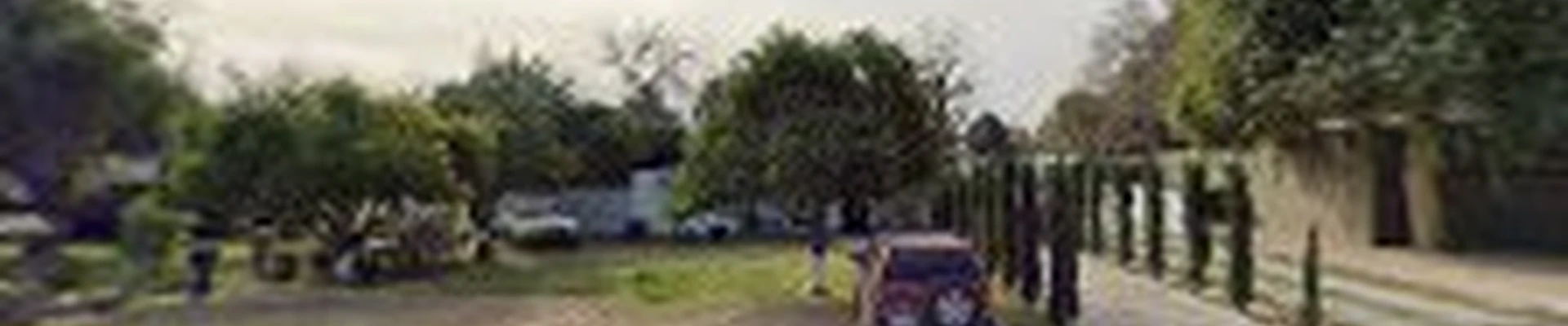 Tree Life Landscaping and Maintenance LLC
