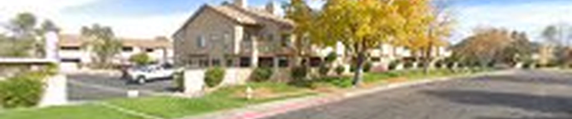 Branch Management Tree Service, LLC