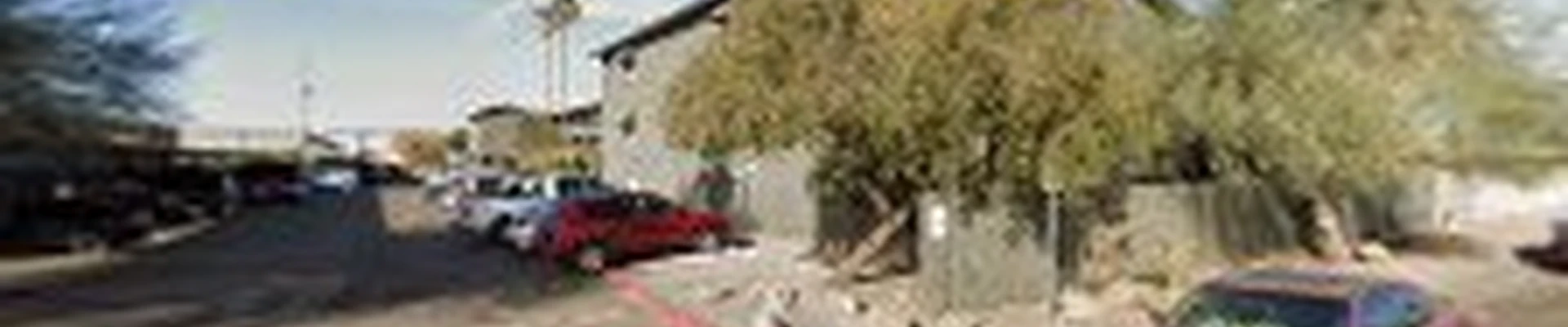 Desert green landscaping services