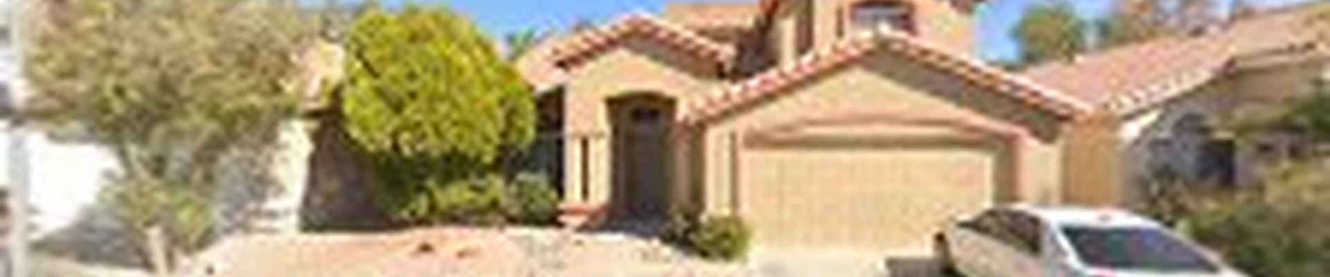Tree Design Landscaping Specialist LLC