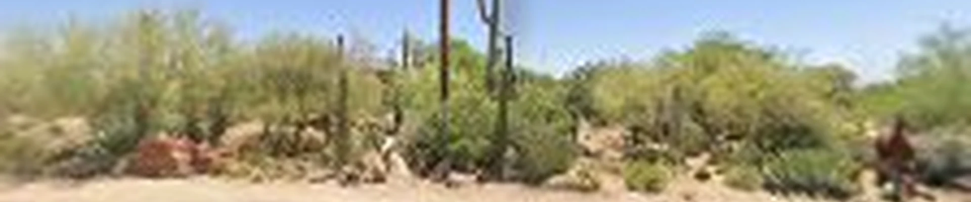 Goodroad Landscaping Inc