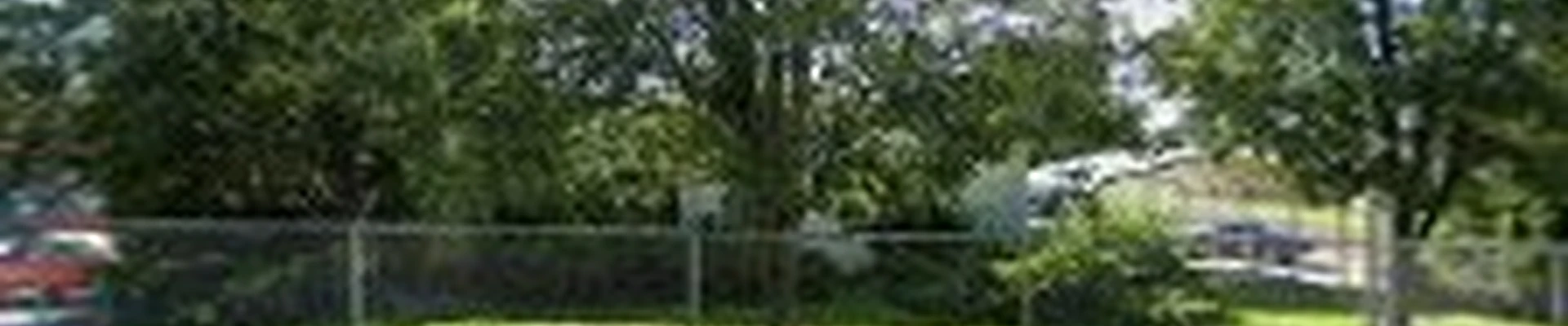 Bailey Landscape Services