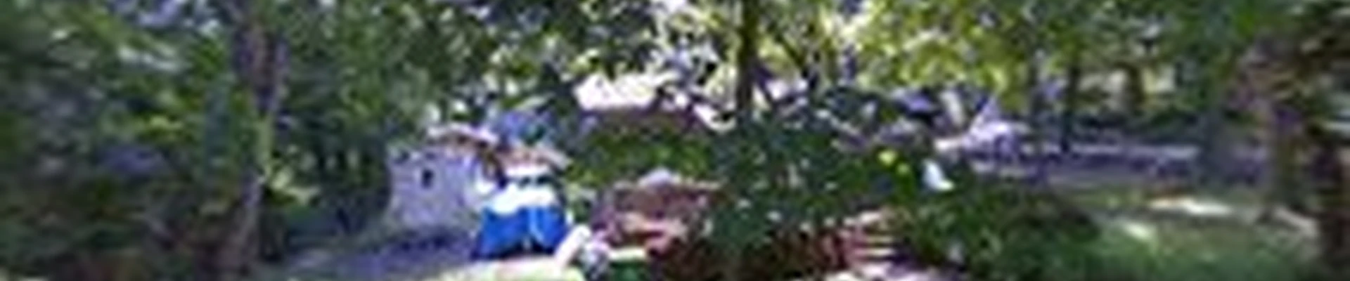 Alejandro & Bros. Landscaping LLC