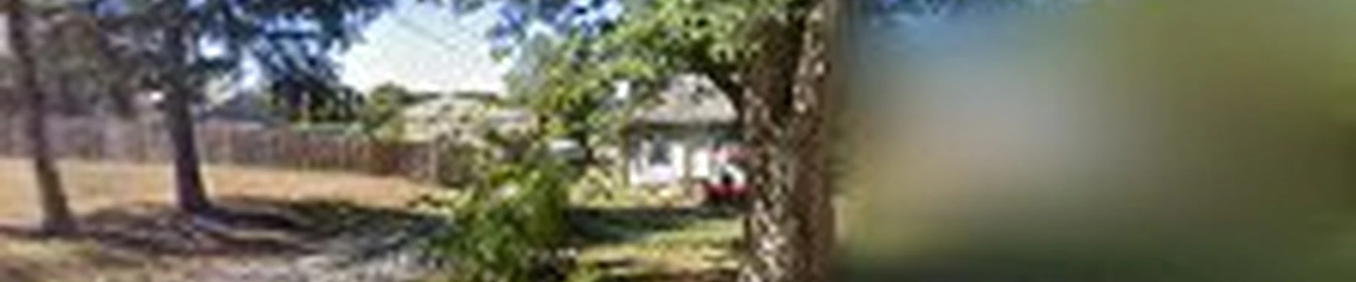 M and D Landscaping