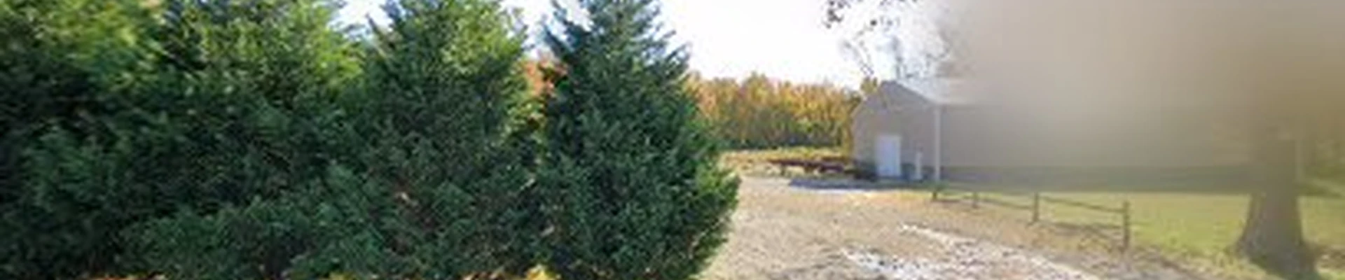 Eaise Design & Landscaping Inc