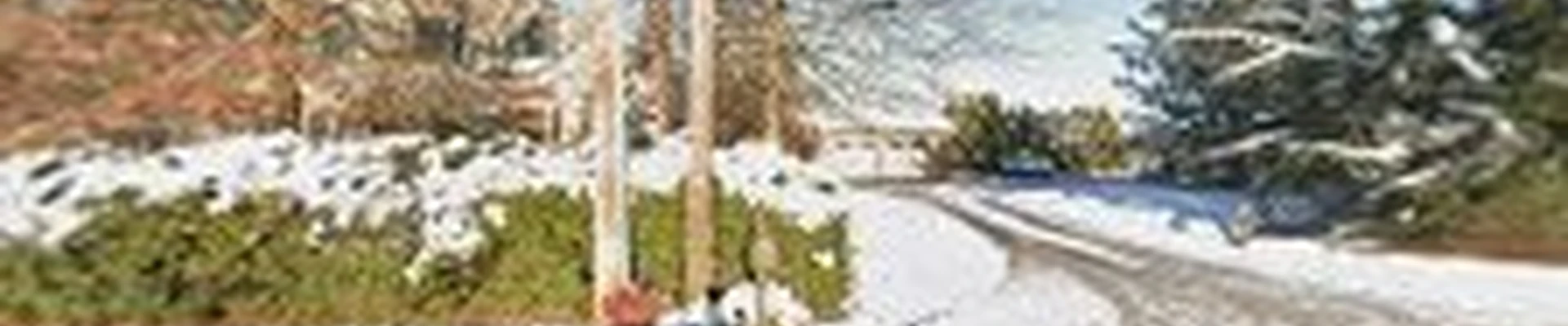 Alspach Landscaping & Nursery, Inc.