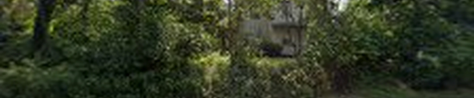 EC Tree & Landscaping LLC
