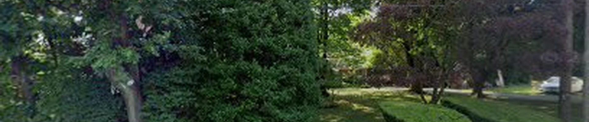 Freedom Landscaping
