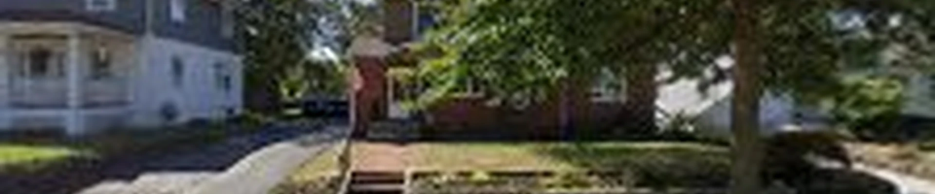 Premium tree & Landscaping service