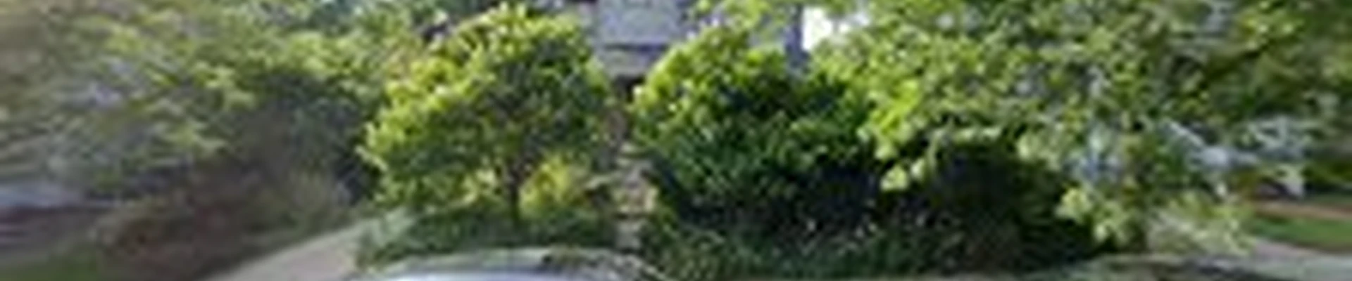 EDEN Garden Design & Landscaping