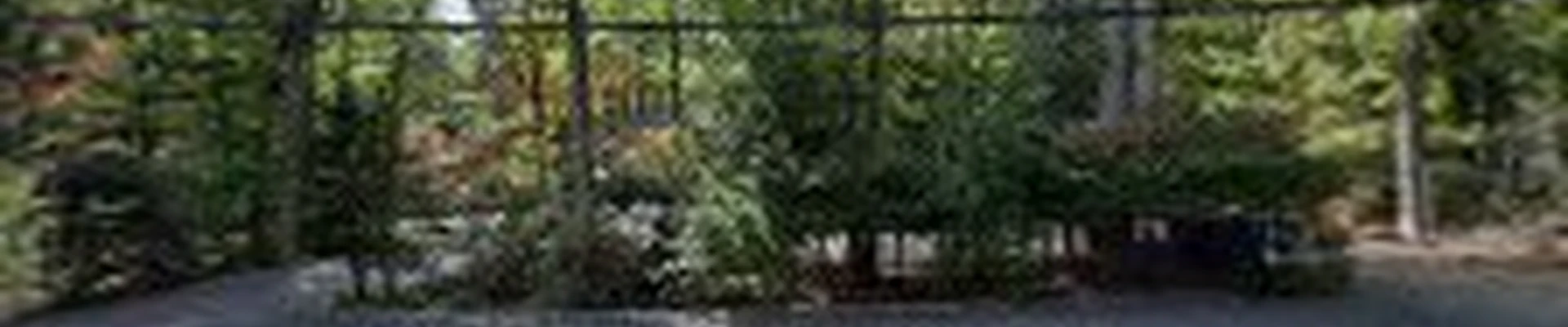 Garden Graphics Landscaping