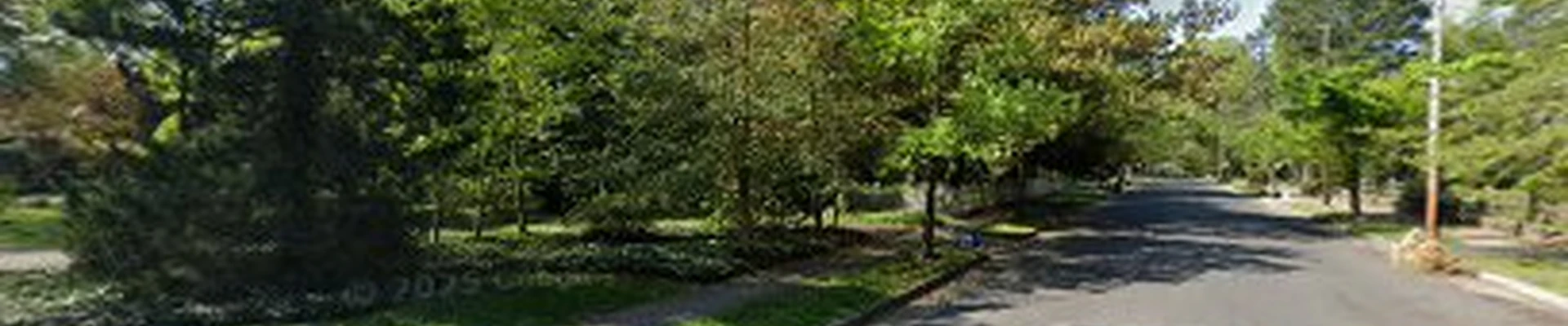 Maple Landscaping & Lawn Services ent