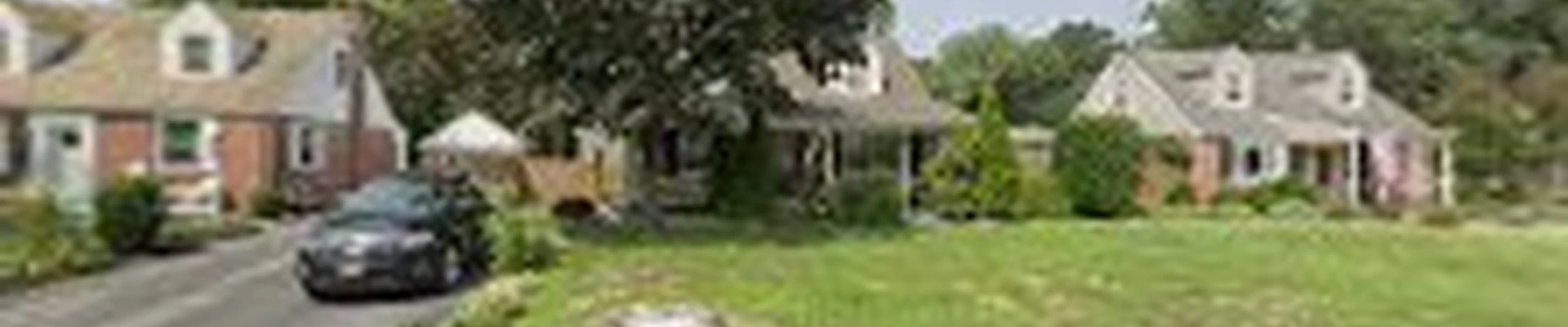 CPL Landscape and Tree